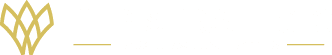 Flip Strategic