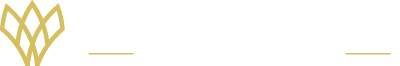 Flip Strategic